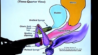 Rough And Pretty: Tutoring In Female Ejaculation